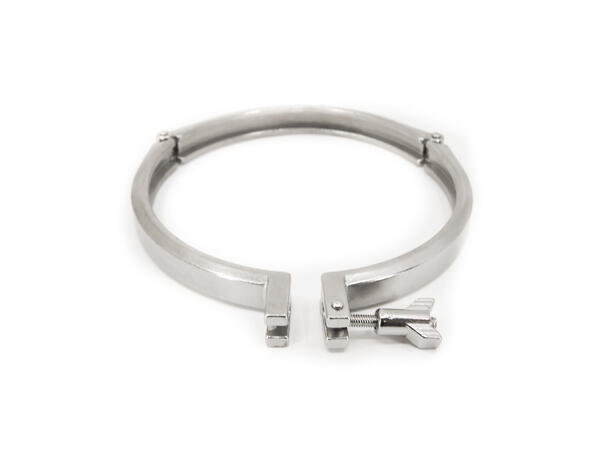 Tri Clamp, 8" 3-part 